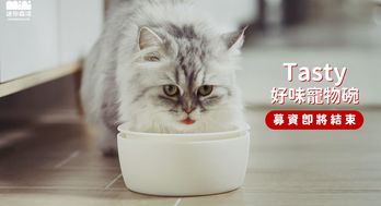Tasty好味寵物碗｜保鮮、加溫、防蟻，給貓餐餐美味，餐餐都好餵！