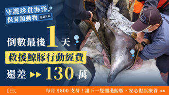 中華鯨豚協會【北台灣鯨豚救援基地｜救援池鏽蝕改建工程】守護珍貴海洋保育類動物