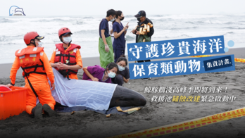 中華鯨豚協會【北台灣鯨豚救援基地｜救援池鏽蝕改建工程】守護珍貴海洋保育類動物
