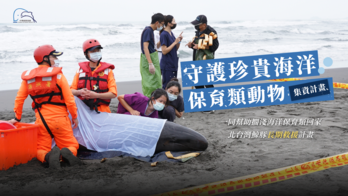 中華鯨豚協會【北台灣鯨豚救援基地｜救援池鏽蝕改建工程】守護珍貴海洋保育類動物