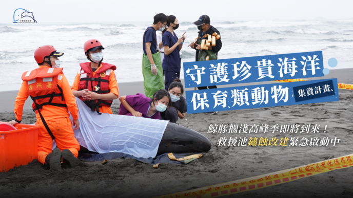 中華鯨豚協會【北台灣鯨豚救援基地｜救援池鏽蝕改建工程】守護珍貴海洋保育類動物
