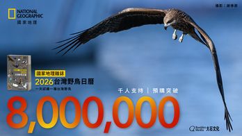 國家地理 2026 台灣野鳥日曆