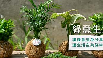 綠意生活｜專為你設計的植物日常，養護顧問陪跑，不怕黑手指