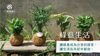 綠意生活｜專為你設計的植物日常，養護顧問陪跑，不怕黑手指
