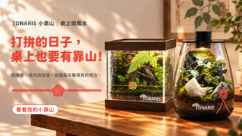 TONARIS 生態「瓶 × 缸 × 框 ＋ 樹」｜一植一景，一結一意，把自然帶進生活