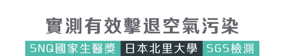 空污, PM2.5
