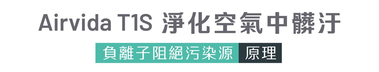 Airvida T1S, 淨化原理, 負離子