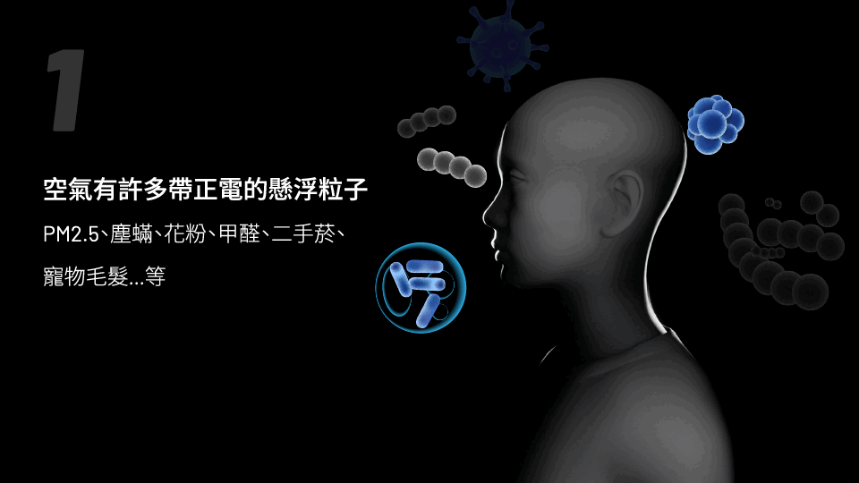 Airvida, 清淨原理