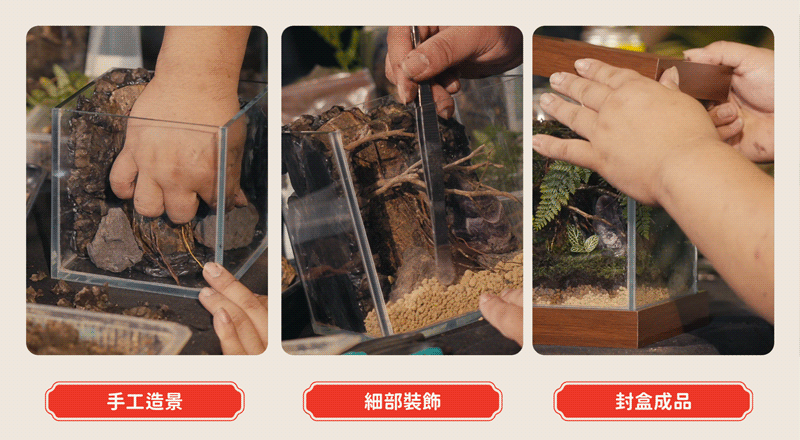 手工造景、細部裝飾、封蓋成品