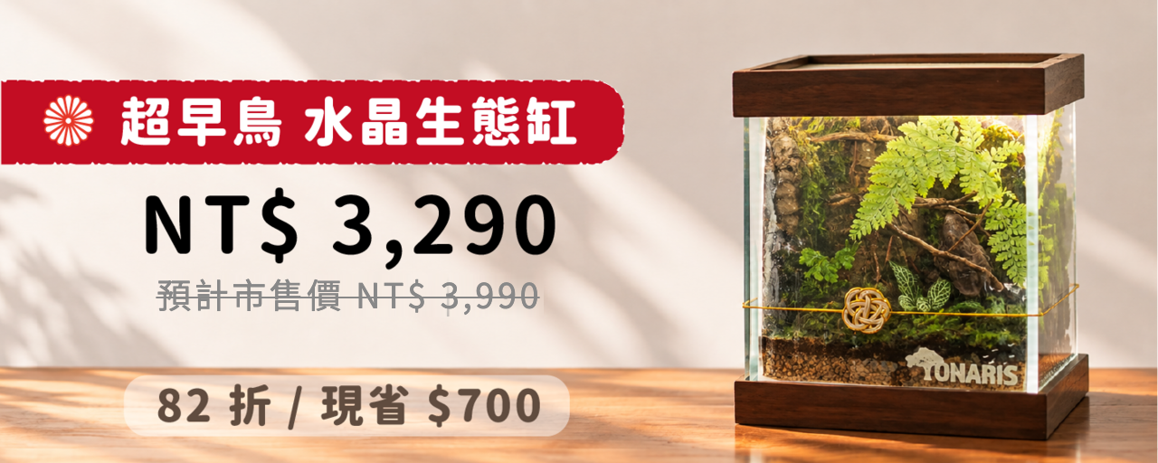 超早鳥 水晶生態缸 NT$3,290
