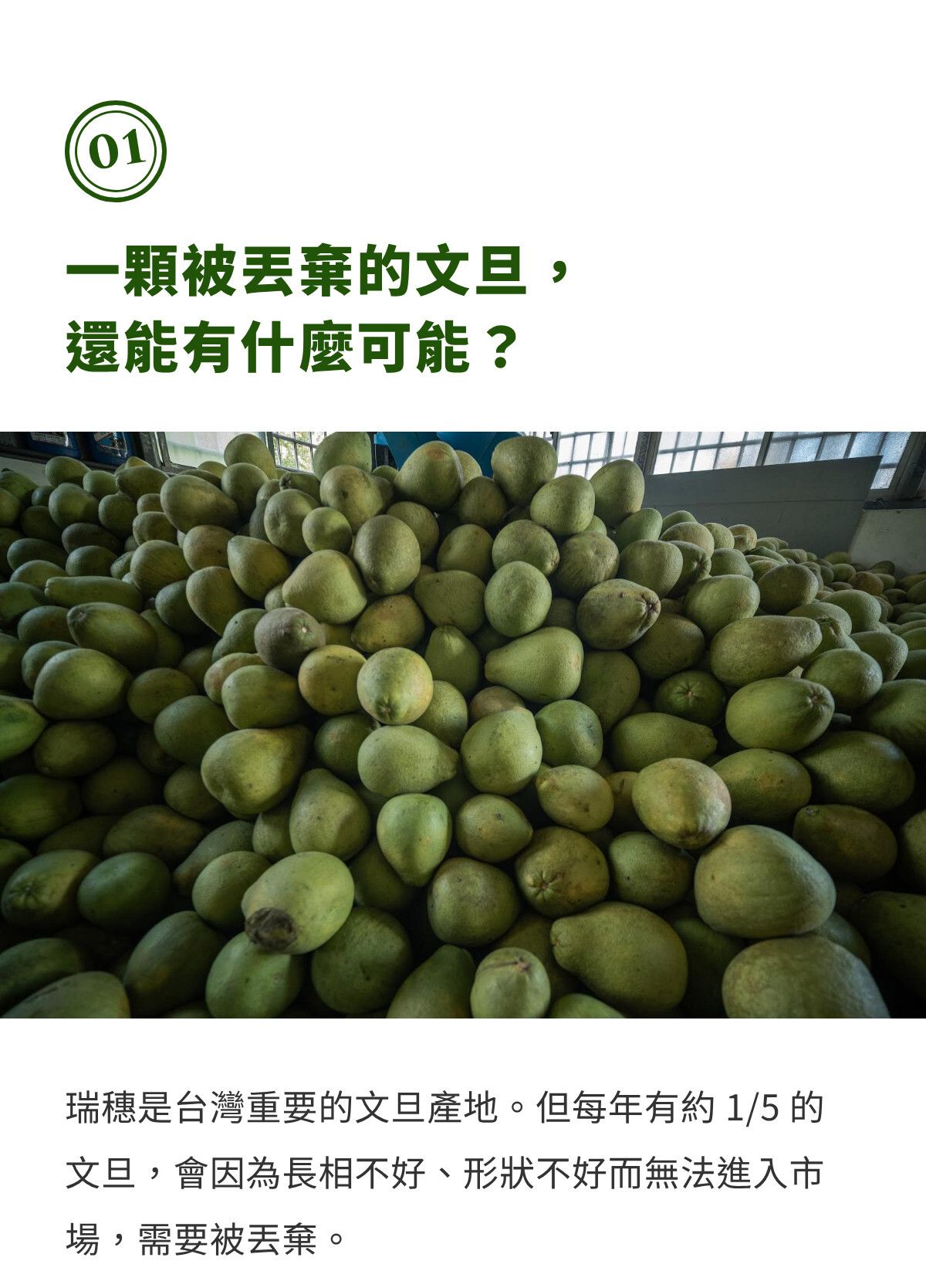 第一章｜一顆被丟棄的文旦，還能有什麼可能？（1）