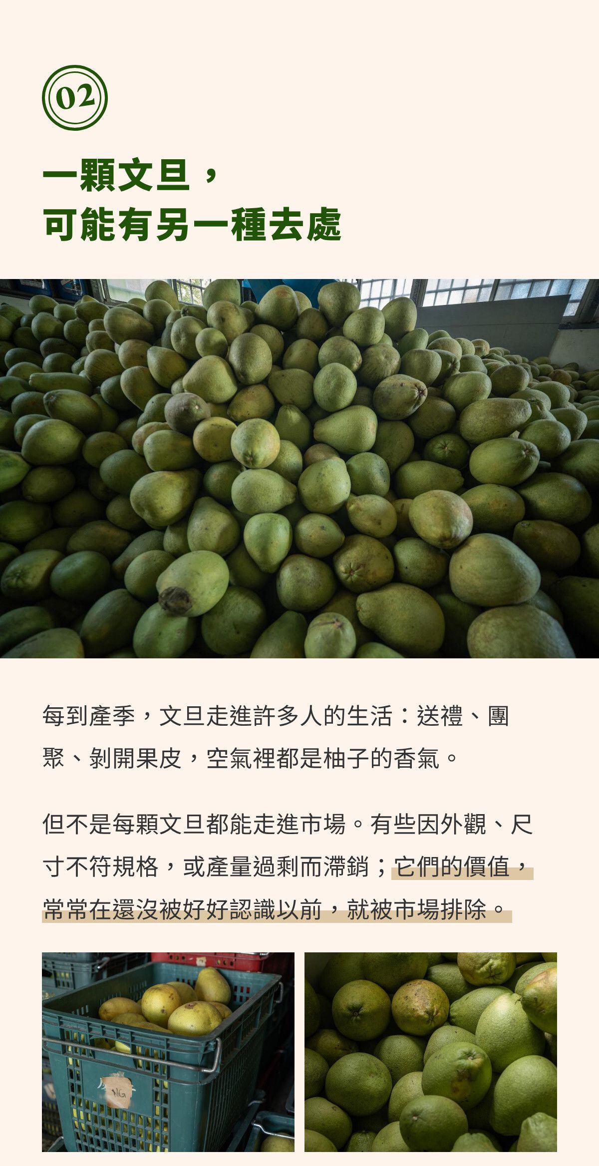 第二章｜一顆文旦，可能有另一種去處（1）