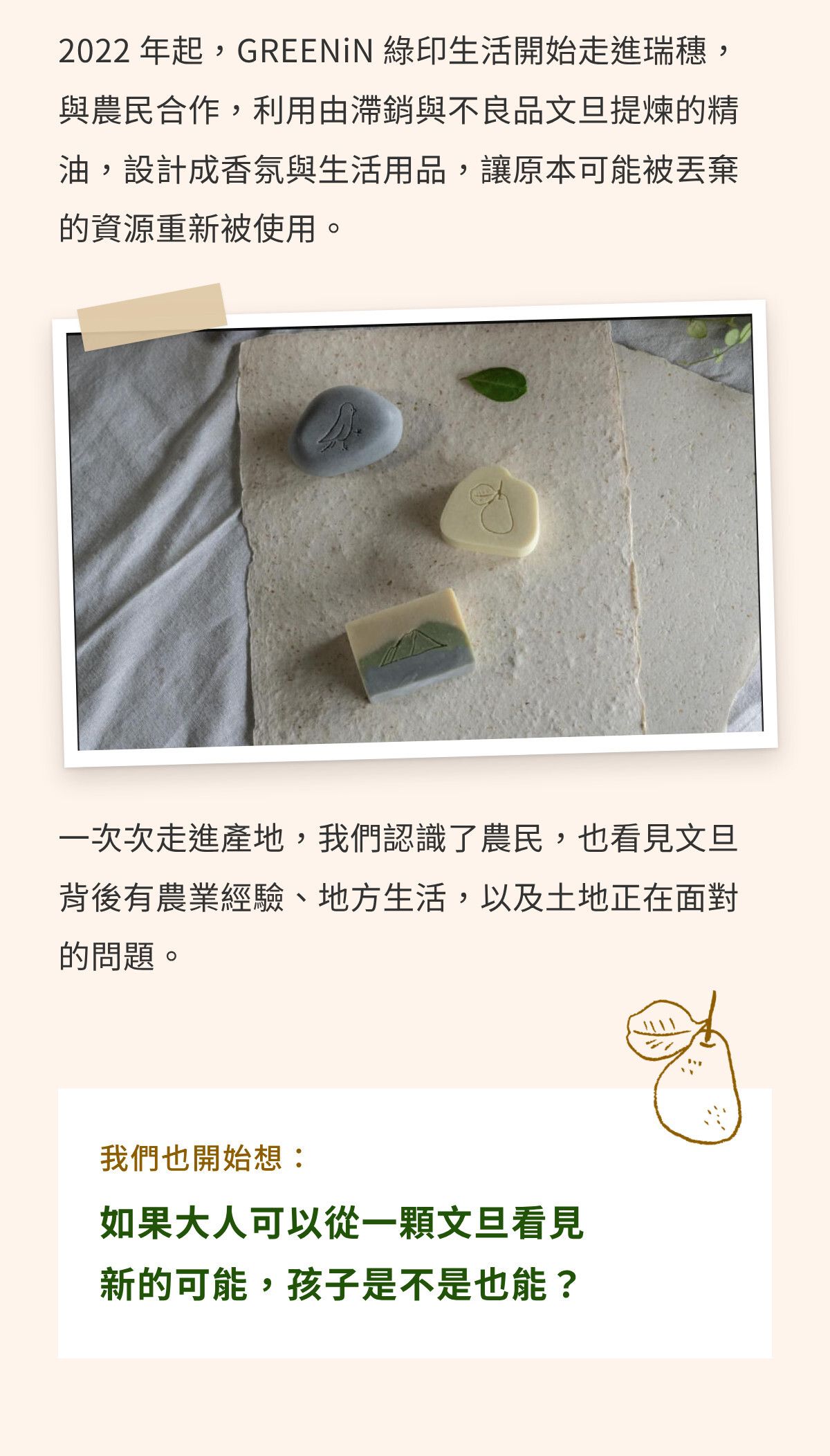 第二章｜一顆文旦，可能有另一種去處（2）